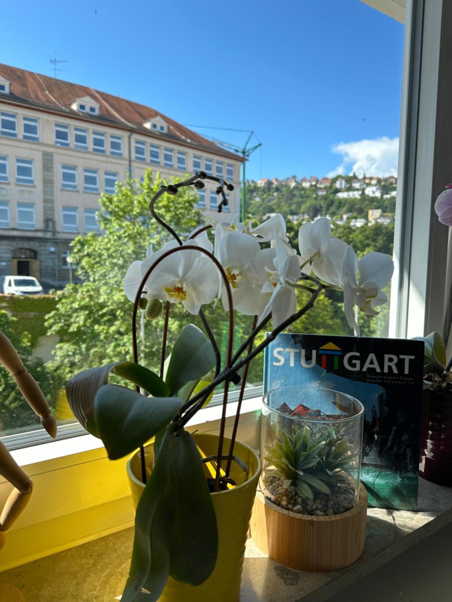 Renovated Flat - Prime Location Near Marienplatz Apartment Stuttgart Exterior foto